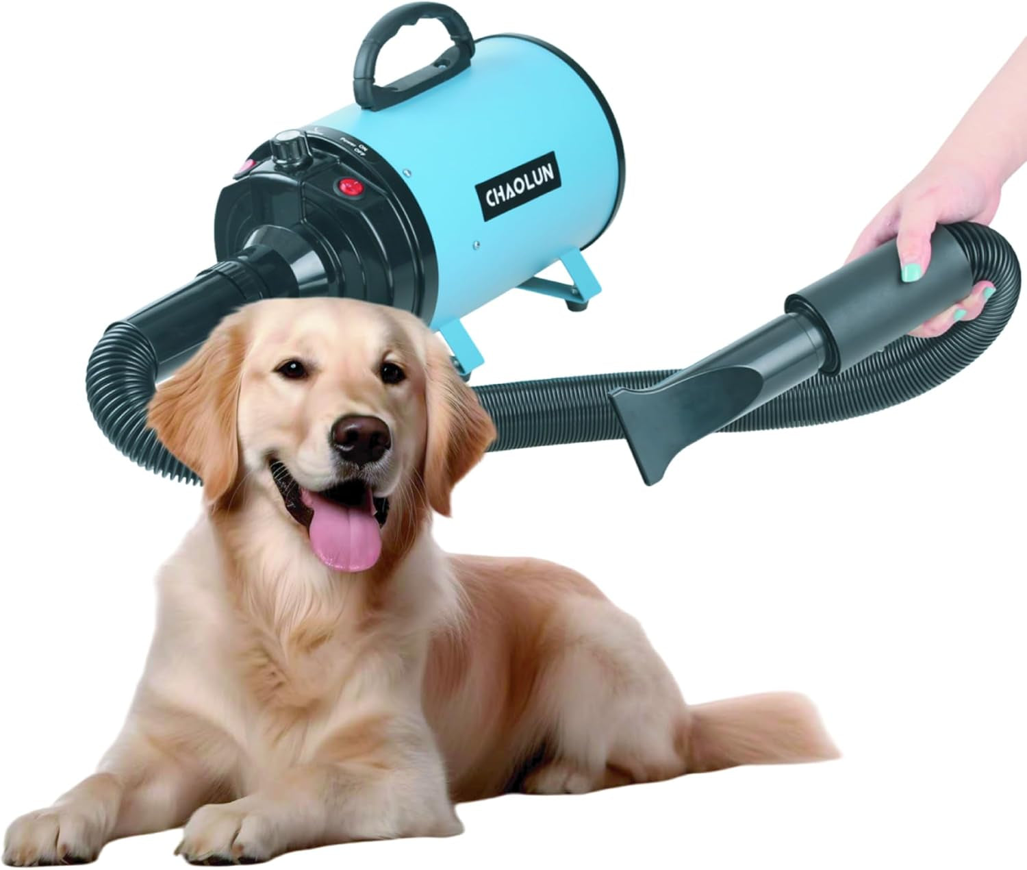 dog-dryer-for-pet-grooming-pet-hair-dryer-with-heater-blue