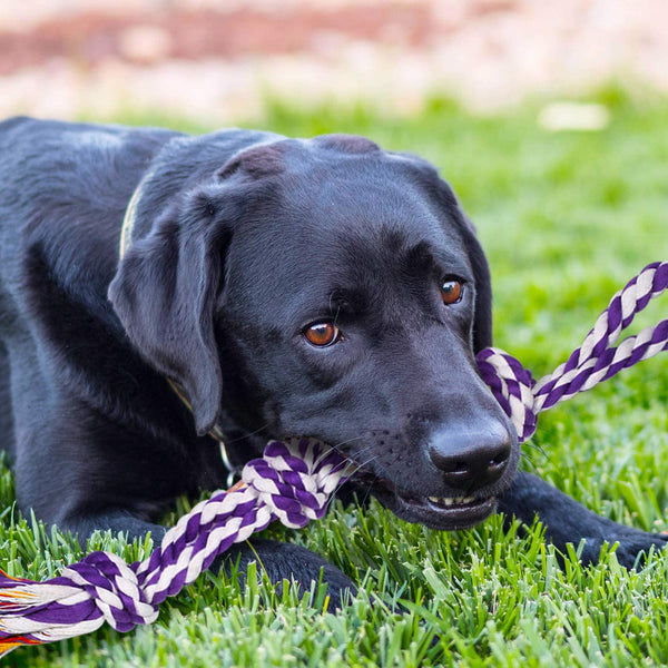 SHARLOVY Large Tough Chew Toys for Aggressive Chewers Large Breed,Heavy Duty Dental Rope Toys Kit for Medium Dogs,5 Knots Indestructible Cotton Puppy Teething Chew Tug Toy Set of 96