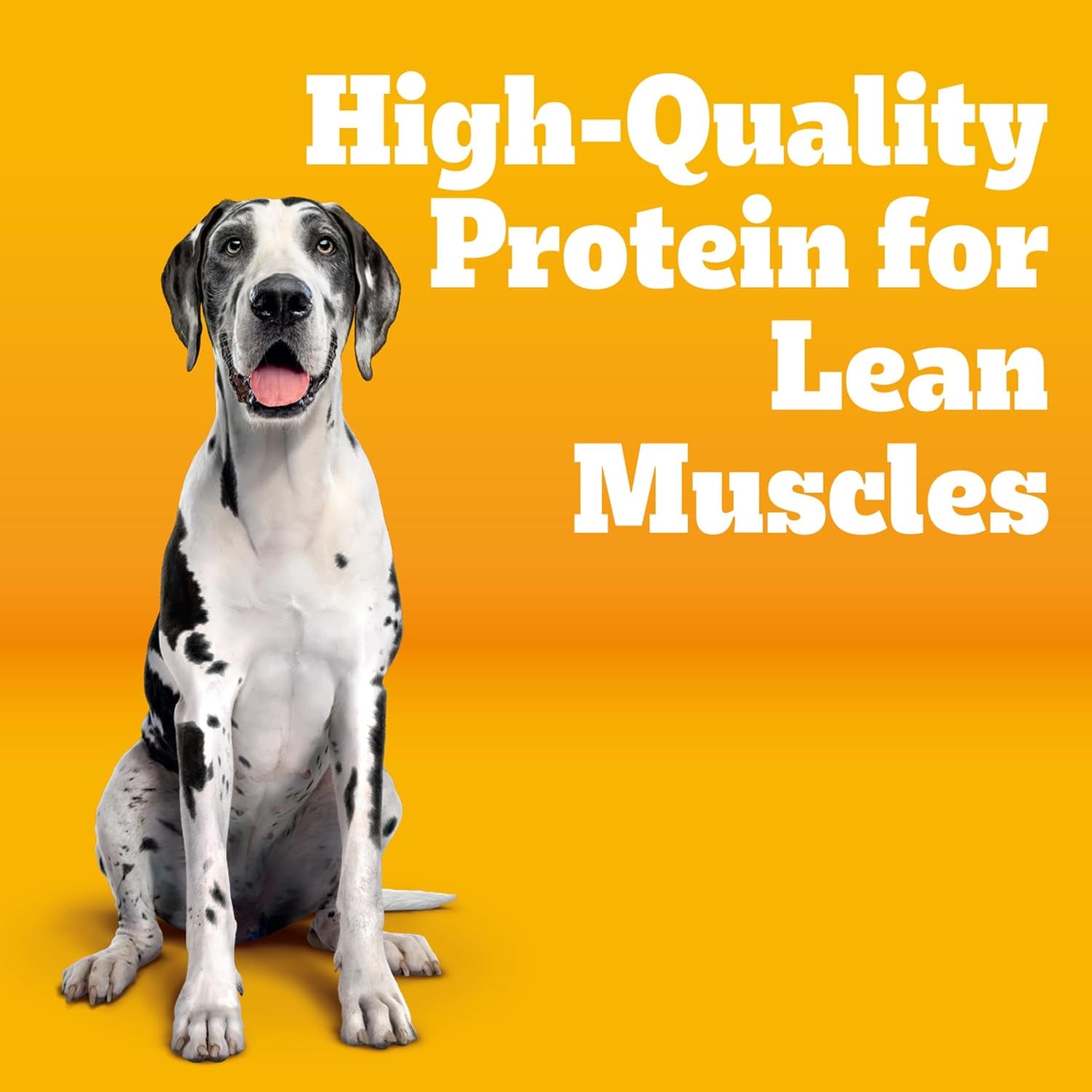 pedigree-large-breed-adult-dry-dog-food-roasted-chicken-vegetable-16-lb-36-vitamins-minerals-amino-acids-prebiotic-fiber-supports-lean-muscle-immune-health-natural-flavors-only
