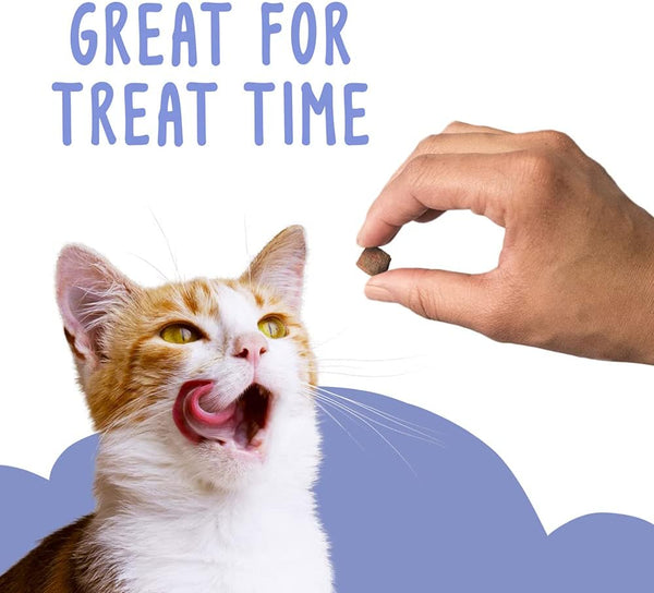 Friskies Party Mix, Gravy-Licious Crunch, Chicken and Gravy Flavored Treats for Cats, Resealable Pouch, 2.1 Ounce Each (Pack of 2)6