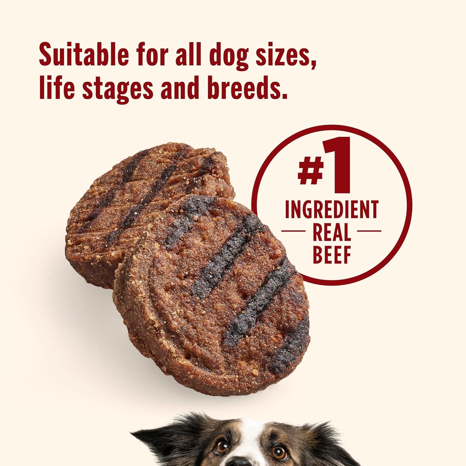 nutrish-burger-bites-dog-treats-beef-recipe-12-oz-pouch-rachael-ray