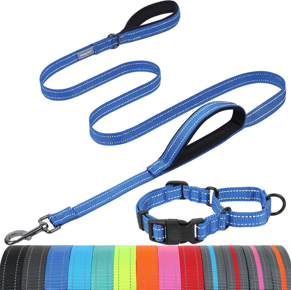 VIVAGLORY Double Handle Dog Leash Twingrip, 6Ft X 1In, Navy | Dog Leash for Collar with Traffic Handle & 2 Loop for Walking & Training, Traffic Control Reflective Heavy Duty Puppy Pet33