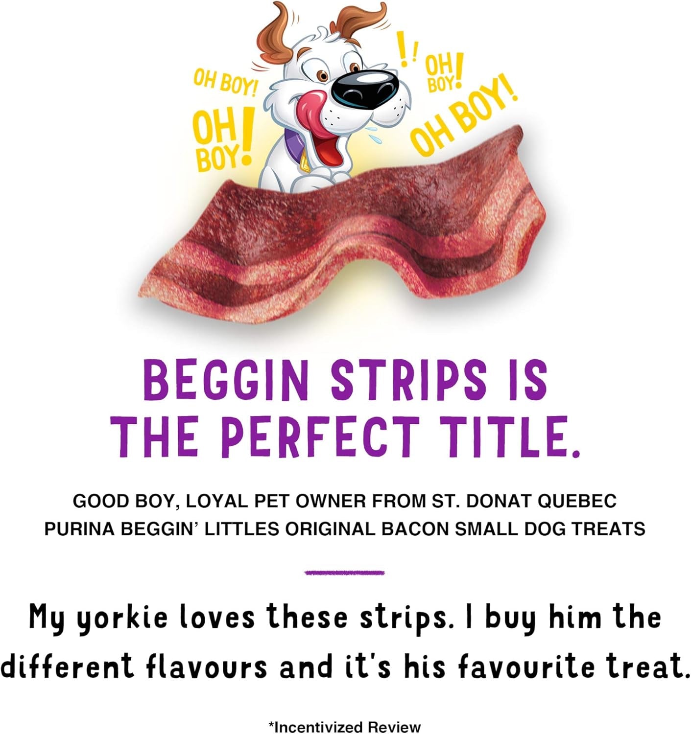 purina-beggin-with-real-meat-dog-treats-fun-size-original-with-bacon-flavor-25-oz-pouch