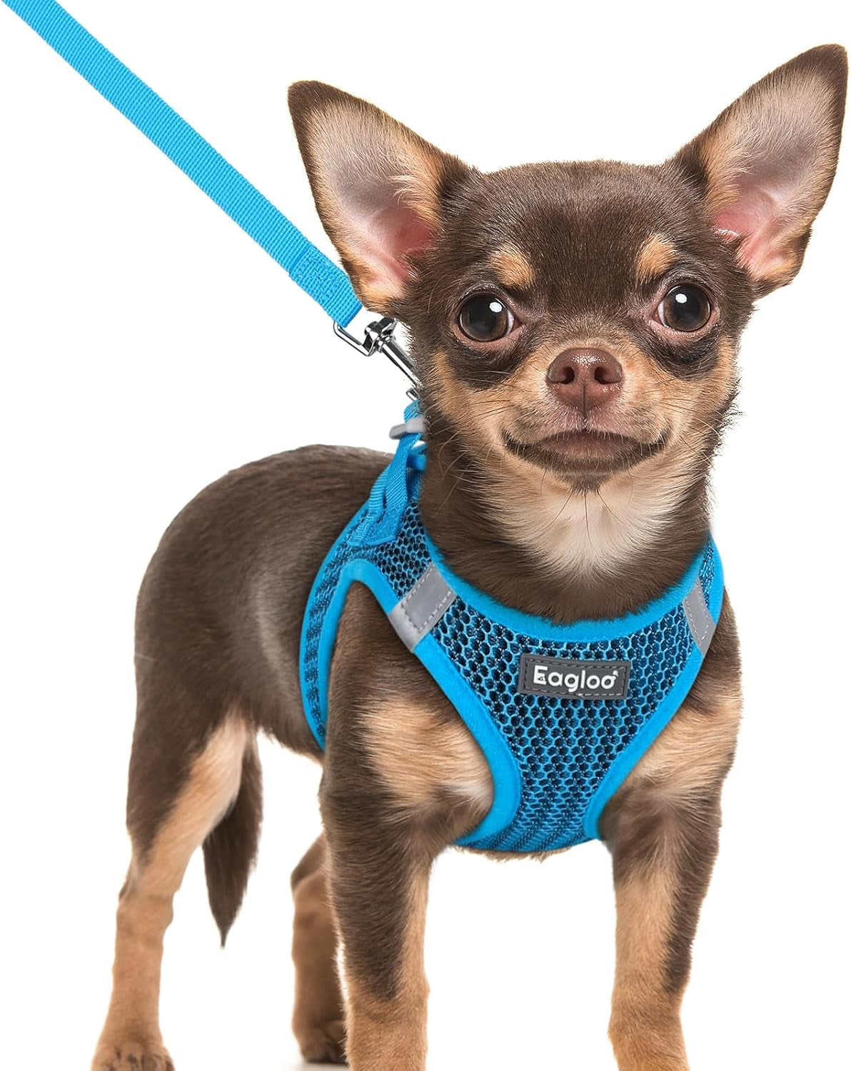 eagloo-small-dog-harness-and-leash-set-step-in-small-sized-puppy-pet-vest-light-soft-breathable-air-mesh-easy-on-and-off-with-hook-loop-reflective-for-safe-walking-pink-s