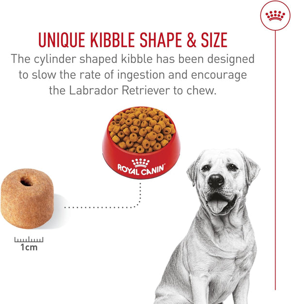 ROYAL CANIN Breed Health Nutrition Labrador Retriever Adult Dry Dog Food, 30 Lb Bag5