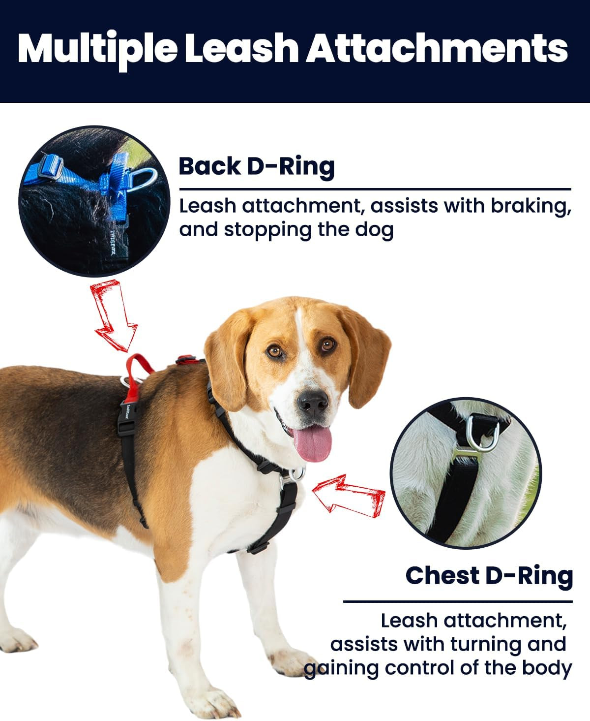 no-pull-dog-harness-small-purple-black-non-restrictive-neck-buckle-design-six-points-adjustment-lightweight-easy-walk-small-dogs-chest17-23inches