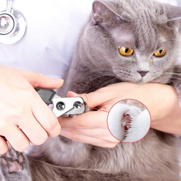 Tpotato Dog Nail Clippers,Dog Nail Trimmers for Large Breed Dog with Quick Sensor,Safari Professional Cat Nail Clipper with Safety Guard and Nail File.5