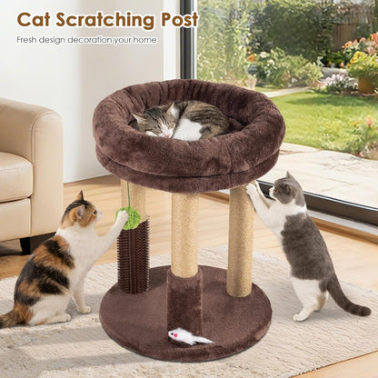 21” Tall Cat Scratching Post with Plush Cat Bed | Stable Cat Tree for Indoor Cats, Interactive Toy & Grooming Brush Included6
