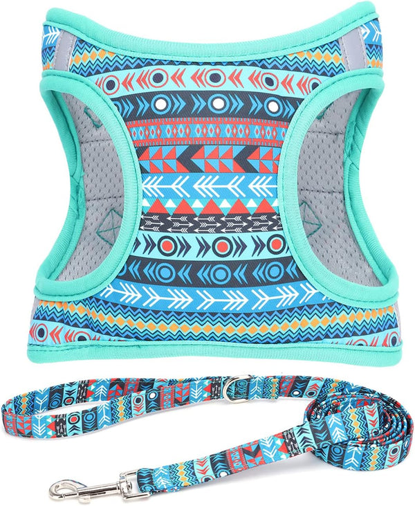 Step in Dog Harness Leash Set- All Weather Reflective No-Pull Floral Pattern Padded Mesh Vest Harness for Cats Puppy Extra-Small Small Medium Large Dogs - Pink Flower - S15