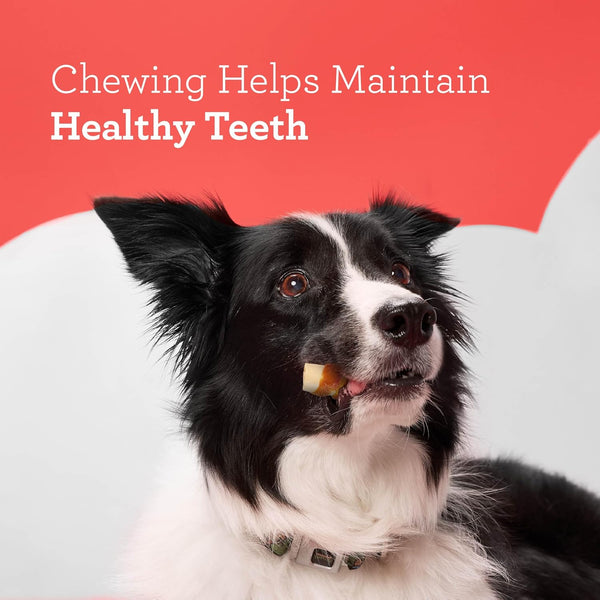 Dreambone Chicken Wrapped Mini Stick Dog Treats, Daily Rawhide-Free Chew, Digests Safely and Completely, with Real Protein, Chicken and Veggies, 15 Count7