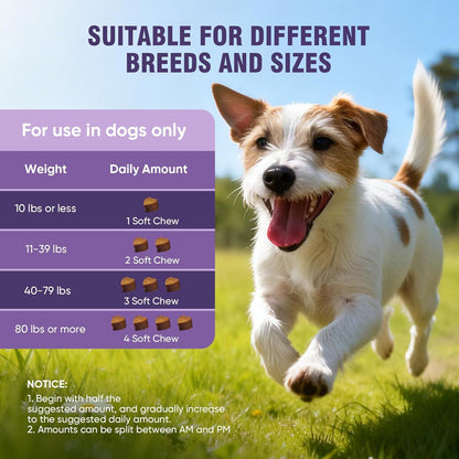 Dog Allergy Chews 200Ct - Dog Allergy and Itching Skin Relief anti Itch Aller Immune Bites for Dogs Licking Paws Treatment Relief Itchy Chew Probiotics Vitamins for Skin and Coat Allergies - Lamb | Probiotics & Vitamins Bites for Dogs Licking Paws.Anti-Itch Treatments to Soothe Allergies & Support Healthy Coat Health7