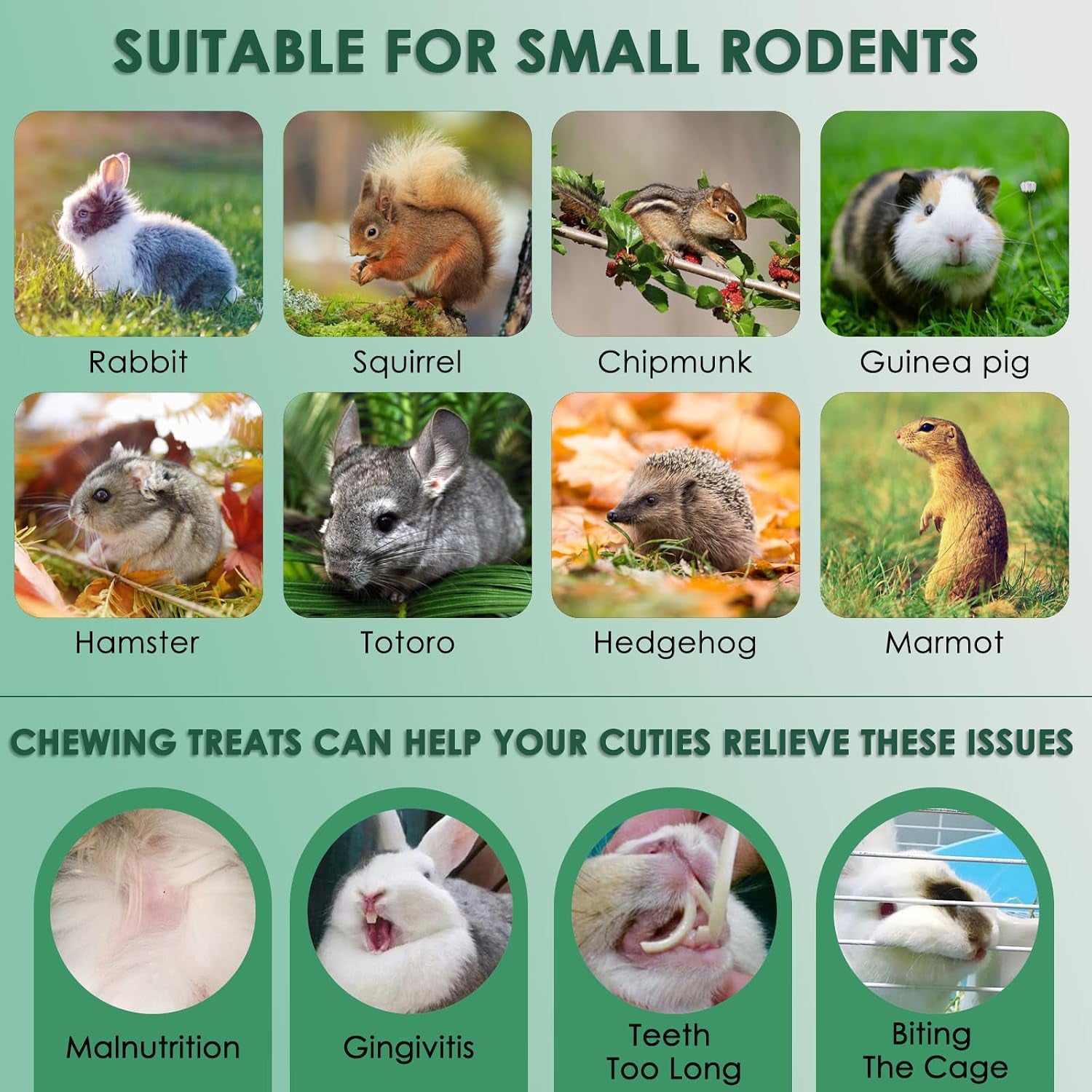 katumo-rabbit-toys-220g-7-7oz-rabbit-treats-bunny-chews-guinea-pig-molar-treats-for-bunny-hamster-chinchilla-gerbil-other-small-rodents