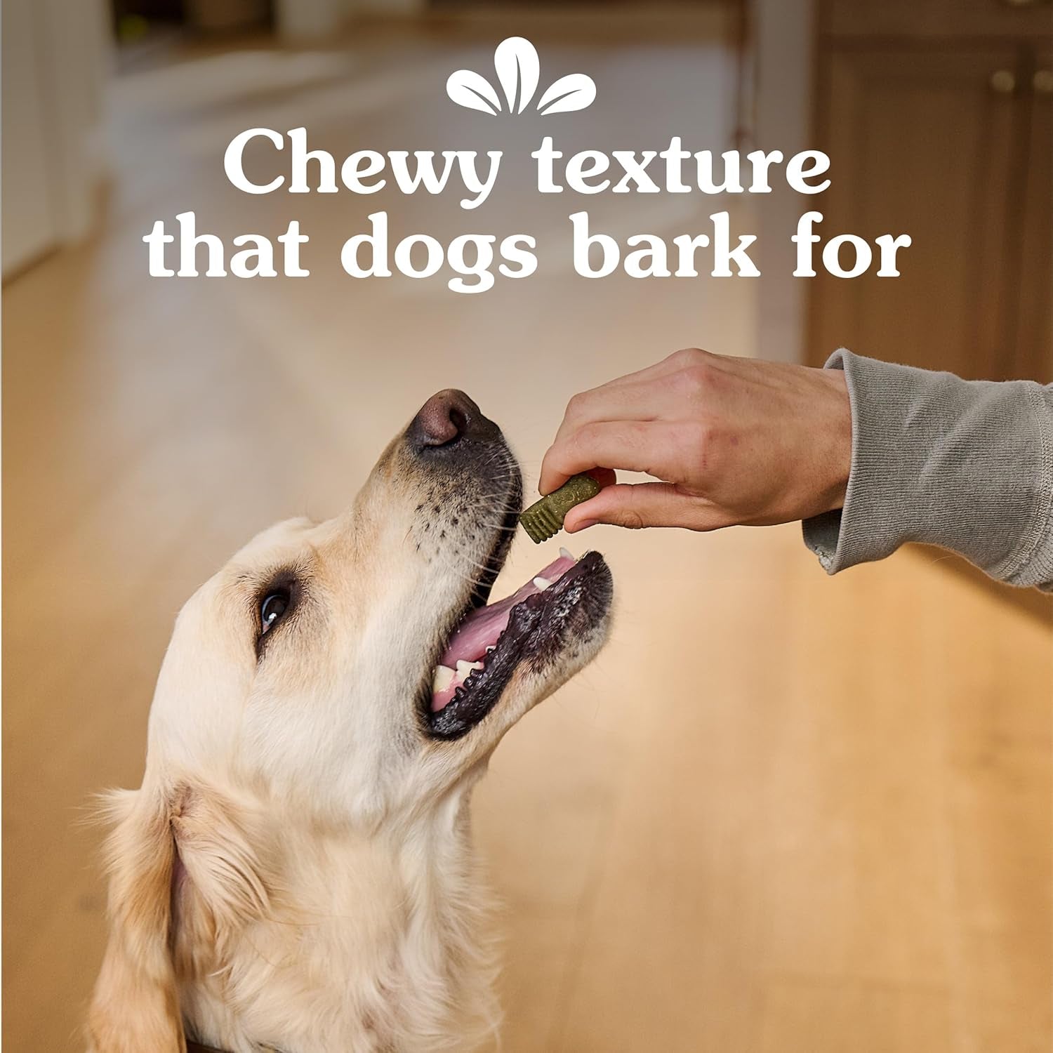 greenies-anytime-bites-dog-treats-blueberry-flavor-10-3-oz-only-13-calories-per-treat-easy-to-digest-natural-ingredients-plus-vitamins-minerals-made-in-usa-facilities