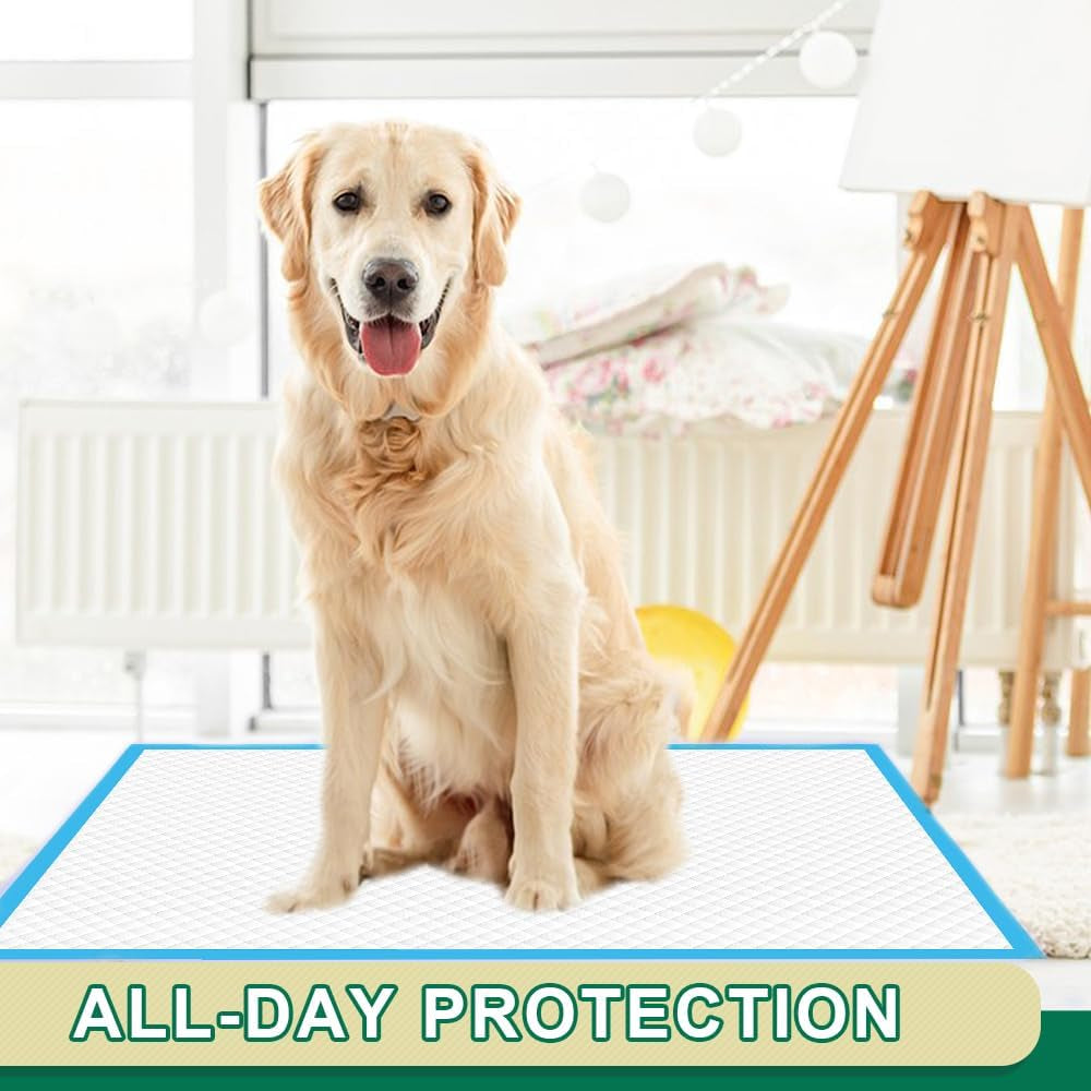 immcute-puppy-pads-22x23-100-count-6-layer-leak-proof-super-absorbent-dog-training-pads-disposable-potty-pads-for-puppies-dogs-cats-rabbits-blue-white