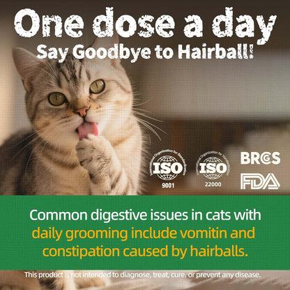 Just Try Cat Treats for Indoor Cats Hairball Control Natural Salmon Healthy Cat Grass Treats Kitten Snacks Training Biscuits Catnip for Cats Dental Care 13.4 OZ3