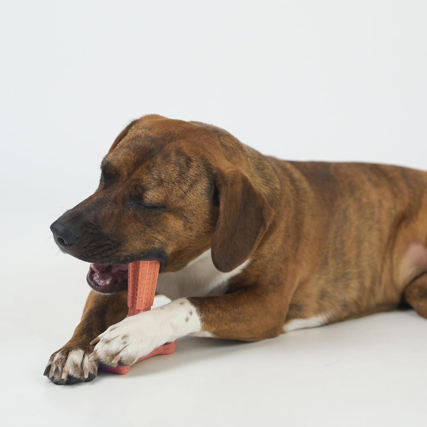 spot-bam-bones-plus-t-bone-bamboo-fiber-nylon-dog-chew-toy-for-moderate-to-aggressive-chewers-durable-long-lasting-non-splintering-beef-flavor-toy-for-adult-dogs-puppies-under-60-lbs-6-in