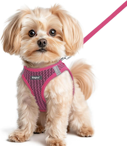 Eagloo Small Dog Harness and Leash Set, Step in Small Sized Puppy Pet Vest | Light, Soft, Breathable Air Mesh, Easy on and off with Hook & Loop, Reflective for Safe Walking, Pink, S22