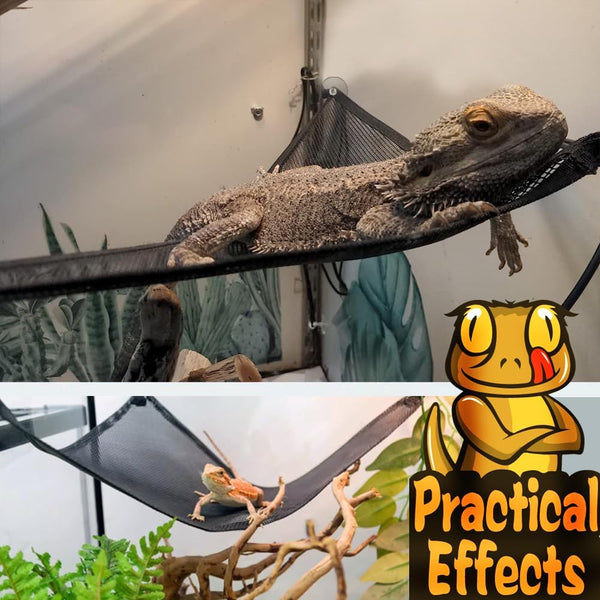 Bearded Dragon Hammock Reptile Hammock for Axolotl,Geckos,Lizards,Breathable Mesh Bearded Dragon Tank Accessories for Snakes,Chameleon,Fish5