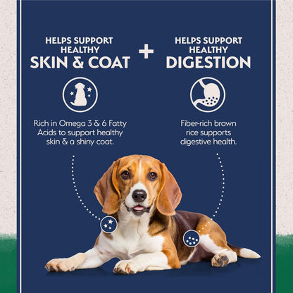 Natural Balance Limited Ingredient Adult Dry Dog Food - Complete Nutrition for Adult Dogs - Wholesome Grains Brown Rice Recipe - Limited Ingredient Formula - 24 Lb - Lamb & Brown Rice3