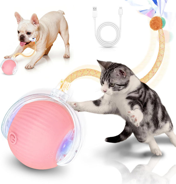 Cat Toys for Indoor Cats Smart Automatic Bal Moving Chase Dogs Toy, Red | Ball Rolling for Bored Kitten Pet, Upgraded Speedy Moving Chase Dogs Toy9