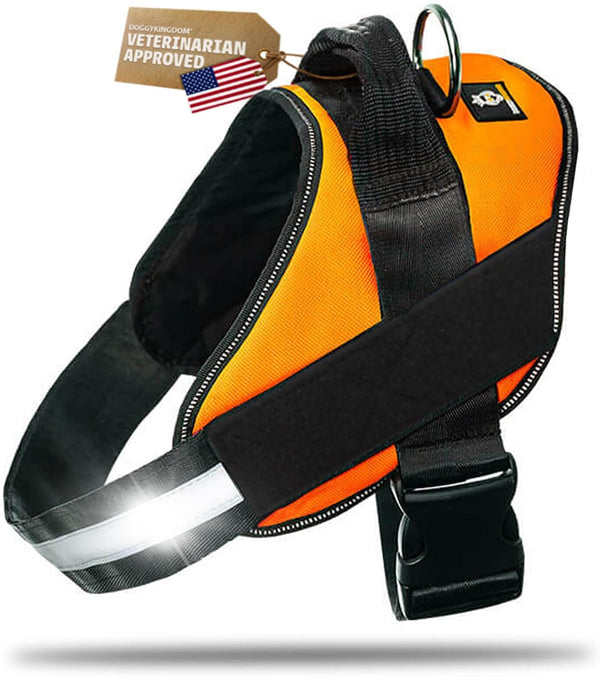 DOGGYKINGDOM No Choke Dog Harness with Handle and Patch Panels, Adjustable Reflective Dog Vest for Small Sized Dog, Blue, S20