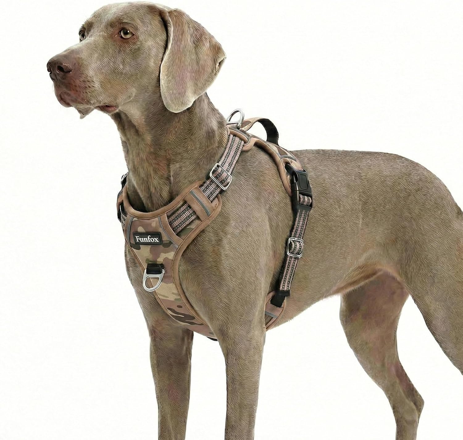 funfox-dog-harness-medium-sized-dog-vertical-handle-easy-control-no-pull-pet-vest-adjustable-with-2-leash-clips-soft-material-reflective-safe-night-walking-for-small-medium-large-breed-black-m