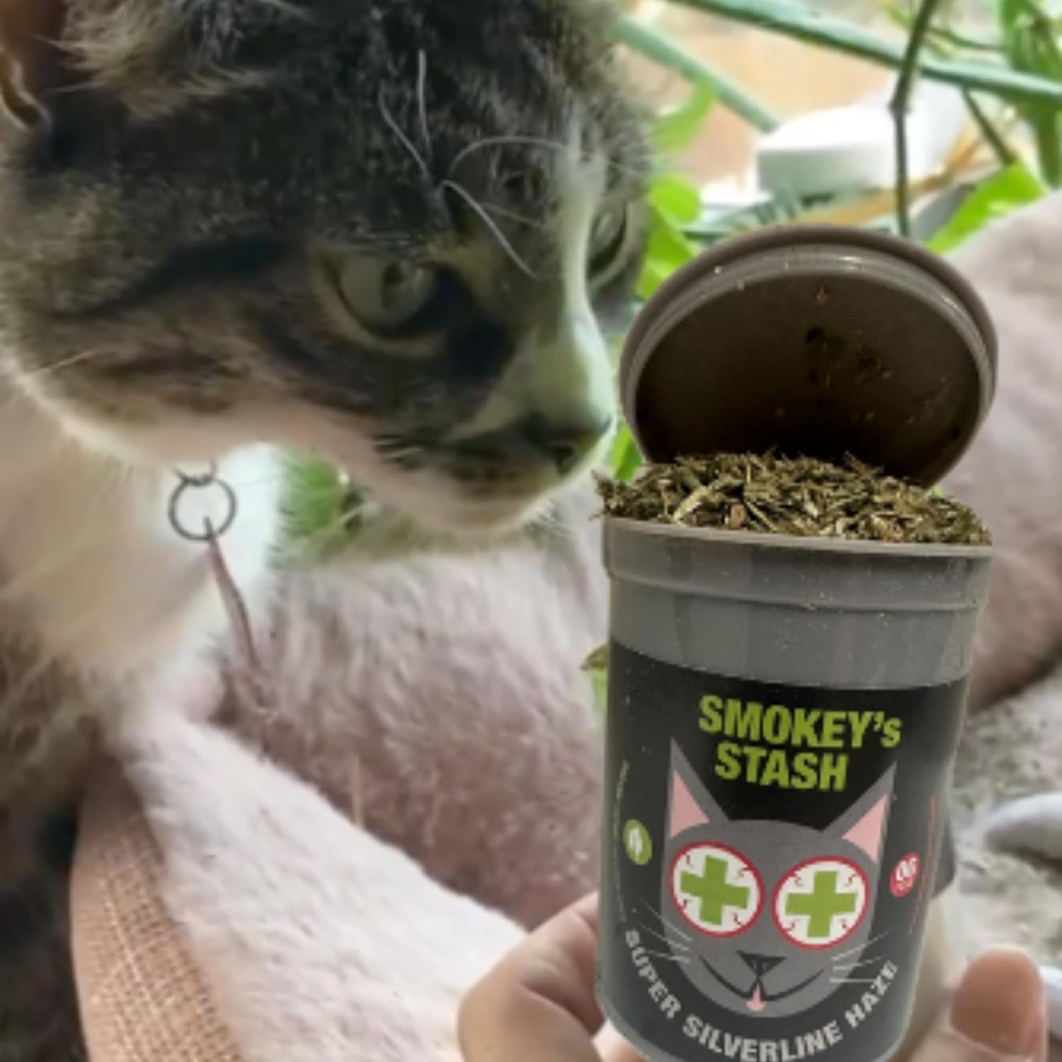 smokeys-stash-silvervine-haze-potent-catnip-and-silver-vine-blend-for-cats