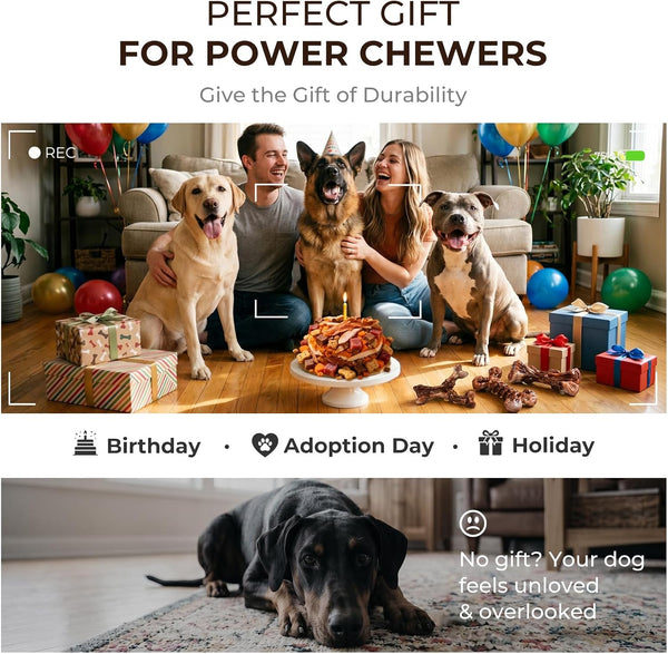 Kseroo 3-Pack Indestructible Dog Chew Toys for Aggressive Chewers, 25-90Lbs | Bacon Flavored Rock-Hard Solid Nylon Dog Bones for Medium & Large Breeds, Keeps Them Busy, Dental Textured, Long Lasting - XL8