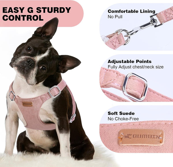Dog Harness and Leash Set, XXS No Pull Adjustable Puppy Harness with Multifunction Pink Dog Leash and Dog Collar, Soft No Choke Escape Proof Pet Harness Vest for Small Dogs and Cats (Pink, S)4
