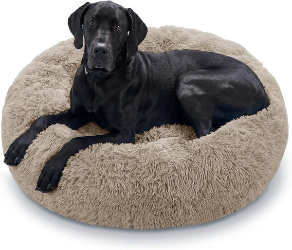 JOLLYVOGUE Small Dog Bed, Calming Soft Anti-Anxiety Donut Cat Bed, Washable round Fluffy Cushion for Small and Medium Pets (20")63