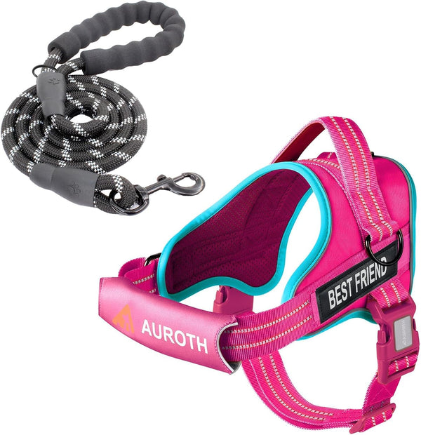 AUROTH Dog Harness and Leash Set, Soft Padded Service Dog Vest with 5.25FT Dog Leash, No Choke, Easy on Pet Vest, Adjustable Reflective No Pull Pet Vest Medium Sized Dog, Easy Walking and Training18