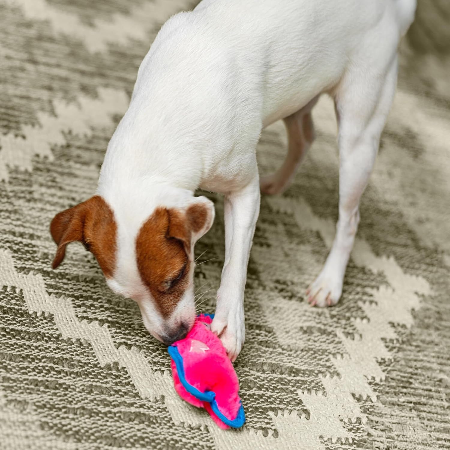 outward-hound-durablez-minis-squeaky-plush-dog-toy-no-stuffing-for-less-mess-interactive-tough-jumbo-squeaker-puppies-small-dogs-pig-6-8