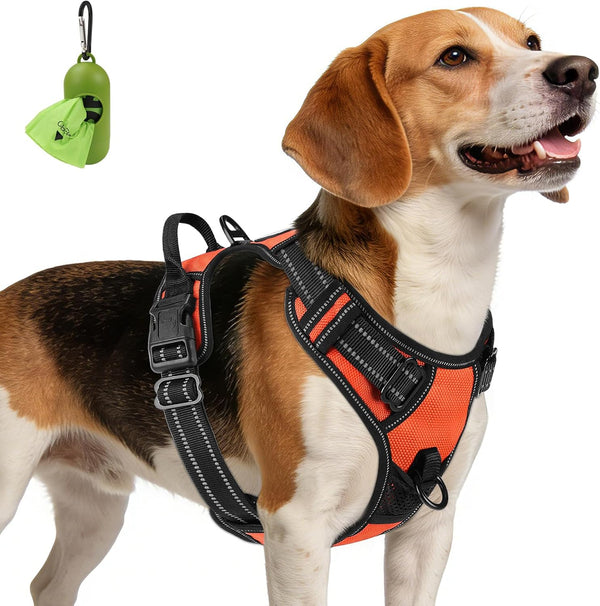 Joytale No Pull Dog Harness Medium Sized Dog, Front Clip, Black | Grab Handle for Instant Control, Padded & Adjustable Vest, Sturdy Metal D-Rings, for Safe Training & Daily Walking42