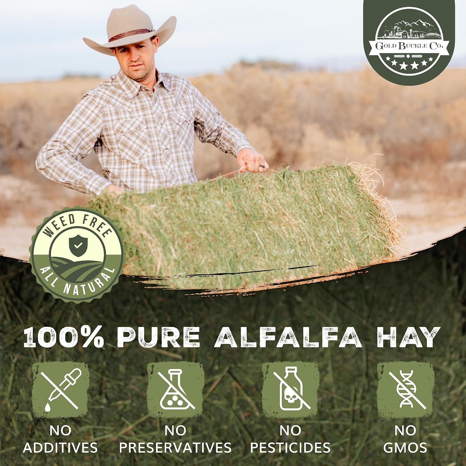 premium-alfalfa-hay-for-rabbits-guinea-pigs-all-natural-usa-grown-9lb-hay-for-guinea-pigs-chinchillas-hamsters-ferrets-farm-fresh-rich-in-protein-fiber-fresh-dried-hand-selected