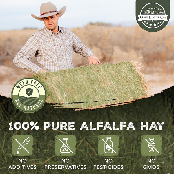 Premium Alfalfa Hay for Rabbits & Guinea Pigs - All Natural, USA Grown, 9Lb | Hay for Guinea Pigs, Chinchillas, Hamsters & Ferrets - Farm Fresh, Rich in Protein & Fiber, Fresh Dried, Hand-Selected4