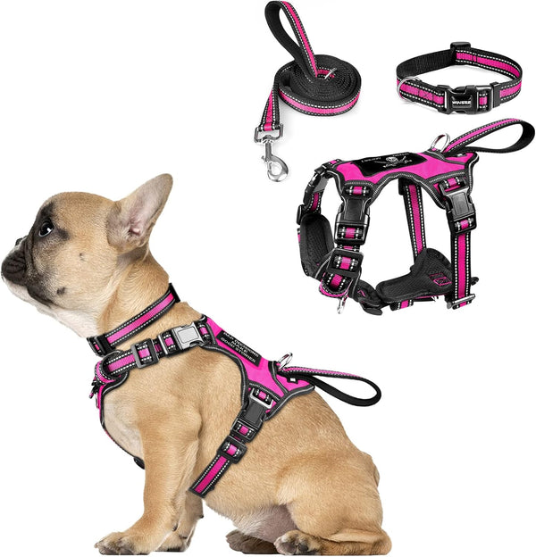 WINSEE Pet Harness Collar and Leash Set, All-In-One Reflective Dog Harness No Pull with Adjustable Buckles for Puppies, Small, Medium, Large, and Extra-Large Dogs (Large, Pink)26
