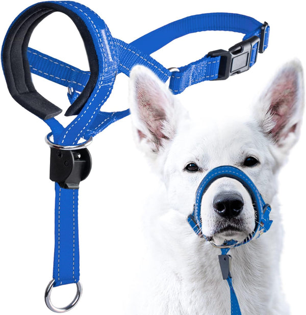 Goodboy Dog Head Halter with Safety Strap - Stops Heavy Pulling on the Leash - Padded Headcollar for Small Medium and Large Dog Sizes - Head Collar Training Guide Included (Size 2, Black)14