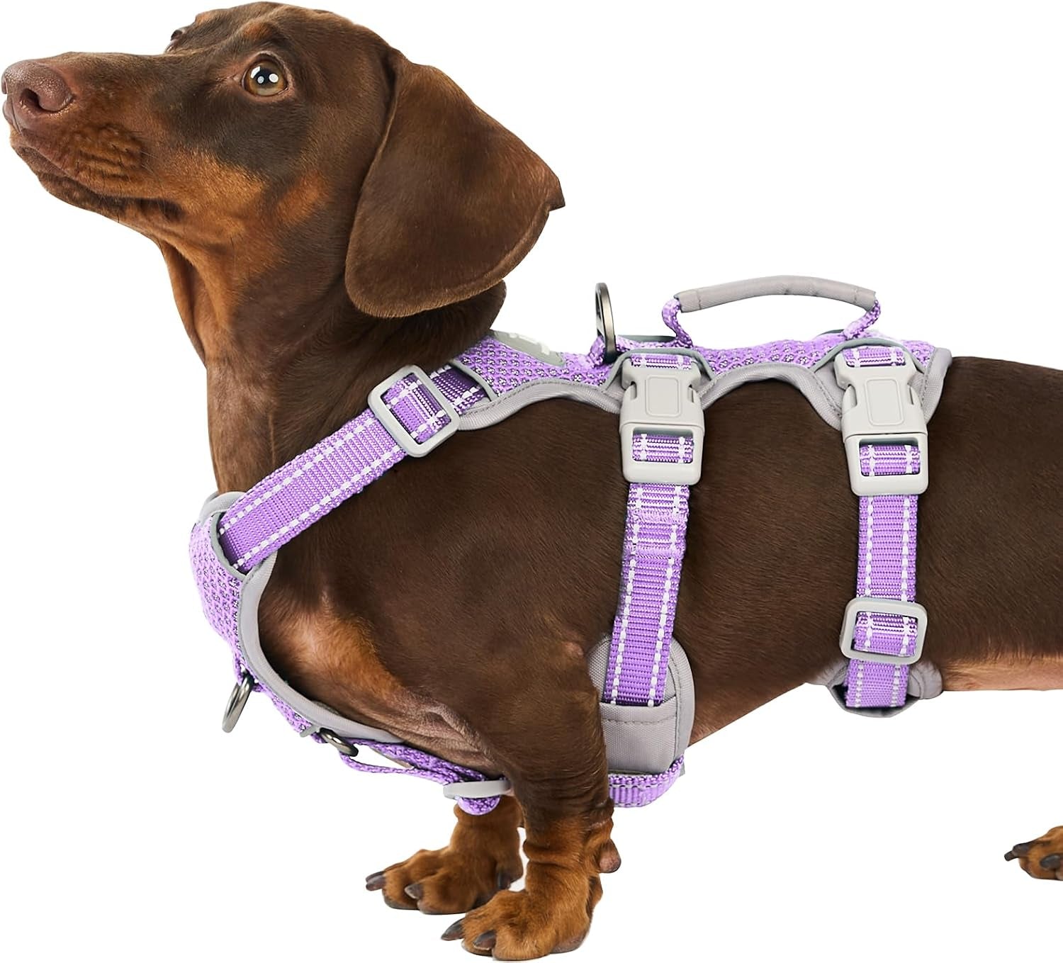 huntboo-escape-proof-harness-no-slip-dog-harness-escape-proof-fully-reflective-harness-with-handle-breathable-durable-adjustable-vest-for-medium-dogs-walking-and-training-gear-black-m