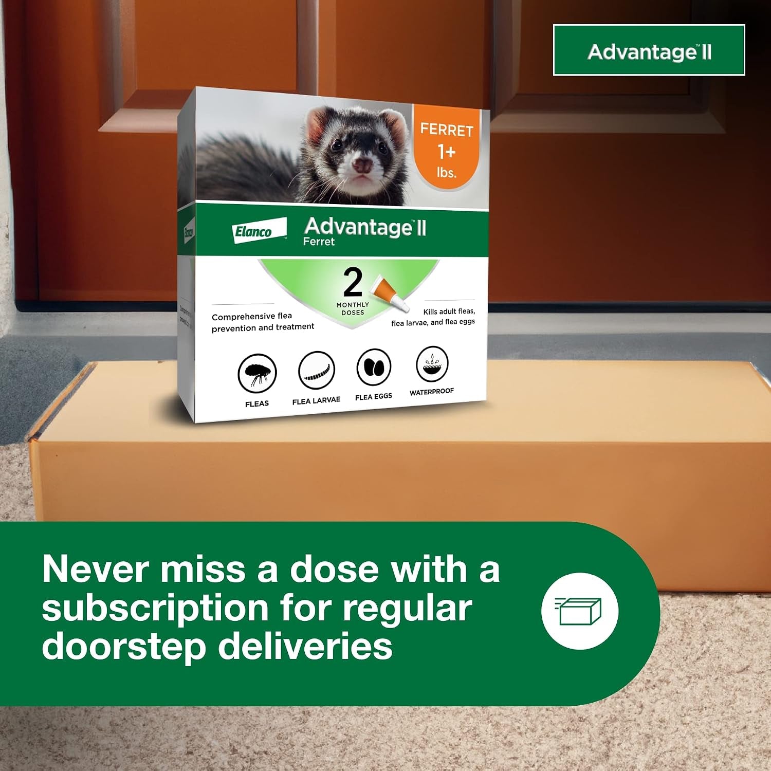advantage-ii-ferret-vet-recommended-flea-treatment-prevention-ferret-1-lbs-2-month-supply