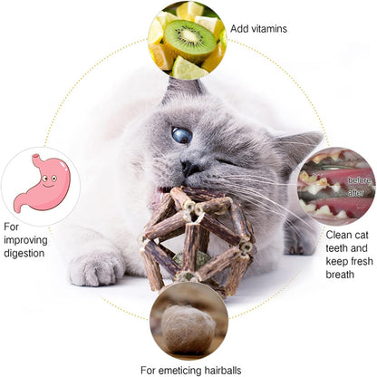 Gochanmon Catnip Toys-2Pcs Natural Silvervine Stick Catnip Ball&Bell Ball-Cat Toys for Indoor Cats- Cleaning Teeth Molar Tools Matatabi Cat Chew Toy-Kitten Toys All Breeds2