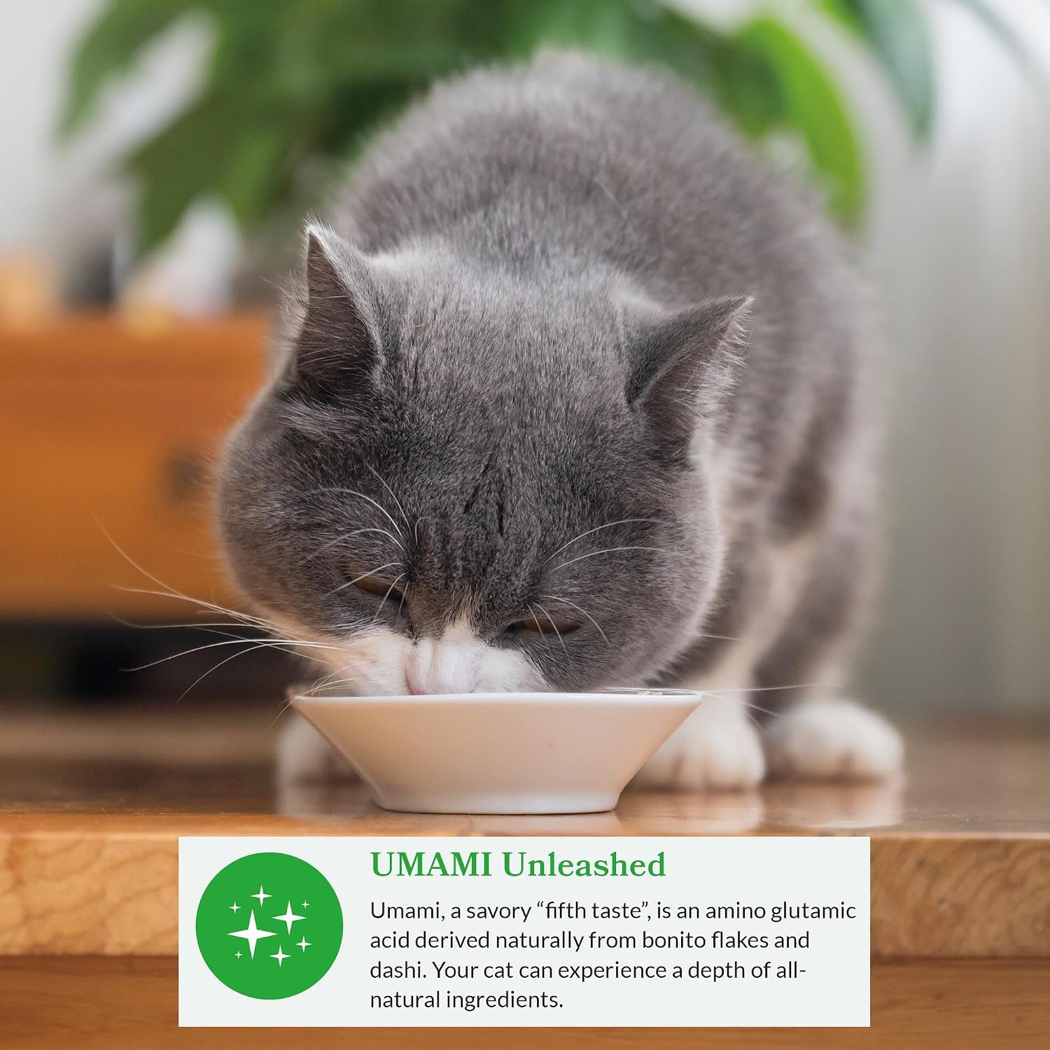 inaba-dashi-delights-lickable-cat-treats-chicken-variety-12ct-immune-support-antioxidant-support-88-moisture-shredded-chicken-dashi-broth-side-dish-grain-free-12-x-2-5-oz-cups