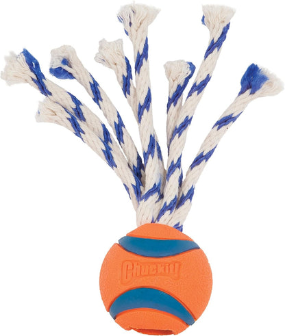 Chuckit! Ultra Tug Dog Toy, Medium Fetch and Dog Ball Tug Toy for Dogs 20-60 Pounds11