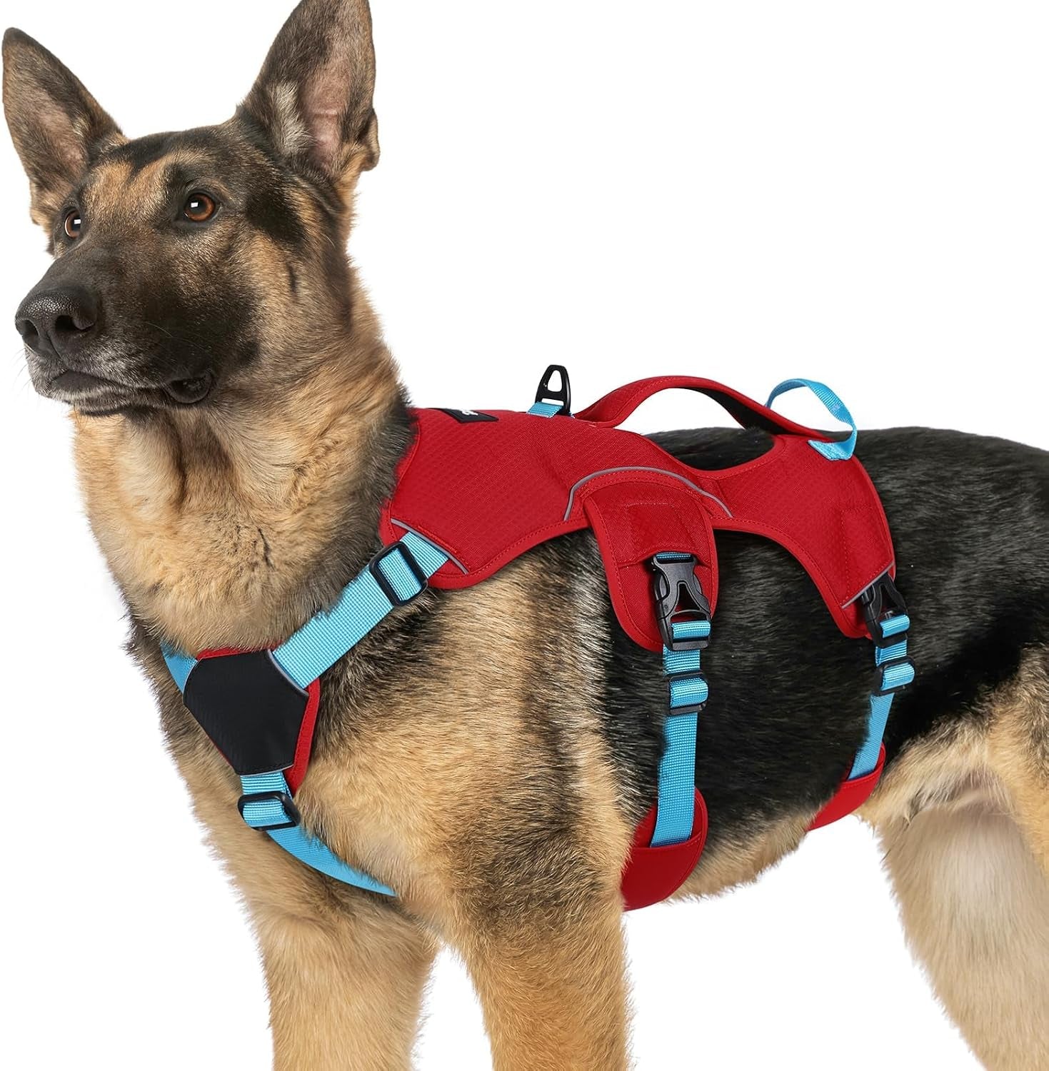 rabbitgoo-escape-proof-dog-harness-for-large-no-pull-with-lift-handle-no-escape-full-soft-padded-reflective-adjustable-vest-leash-clip-for-walking-hiking-training-black-large