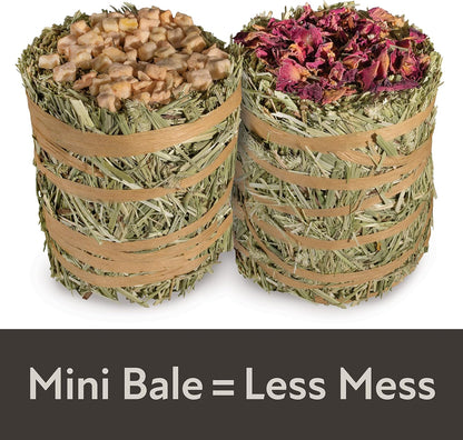 Kaytee Field+Forest Mini Hay Bales Apple and Rose 2 Pack 7 Ounces4