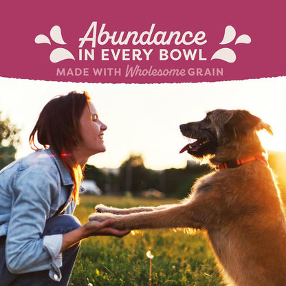 Natural Balance Original Ultra Fat Dogs Chicken Meal, Salmon Meal & Barley Recipe Adult Dry Dog Food, 24 Lbs.4