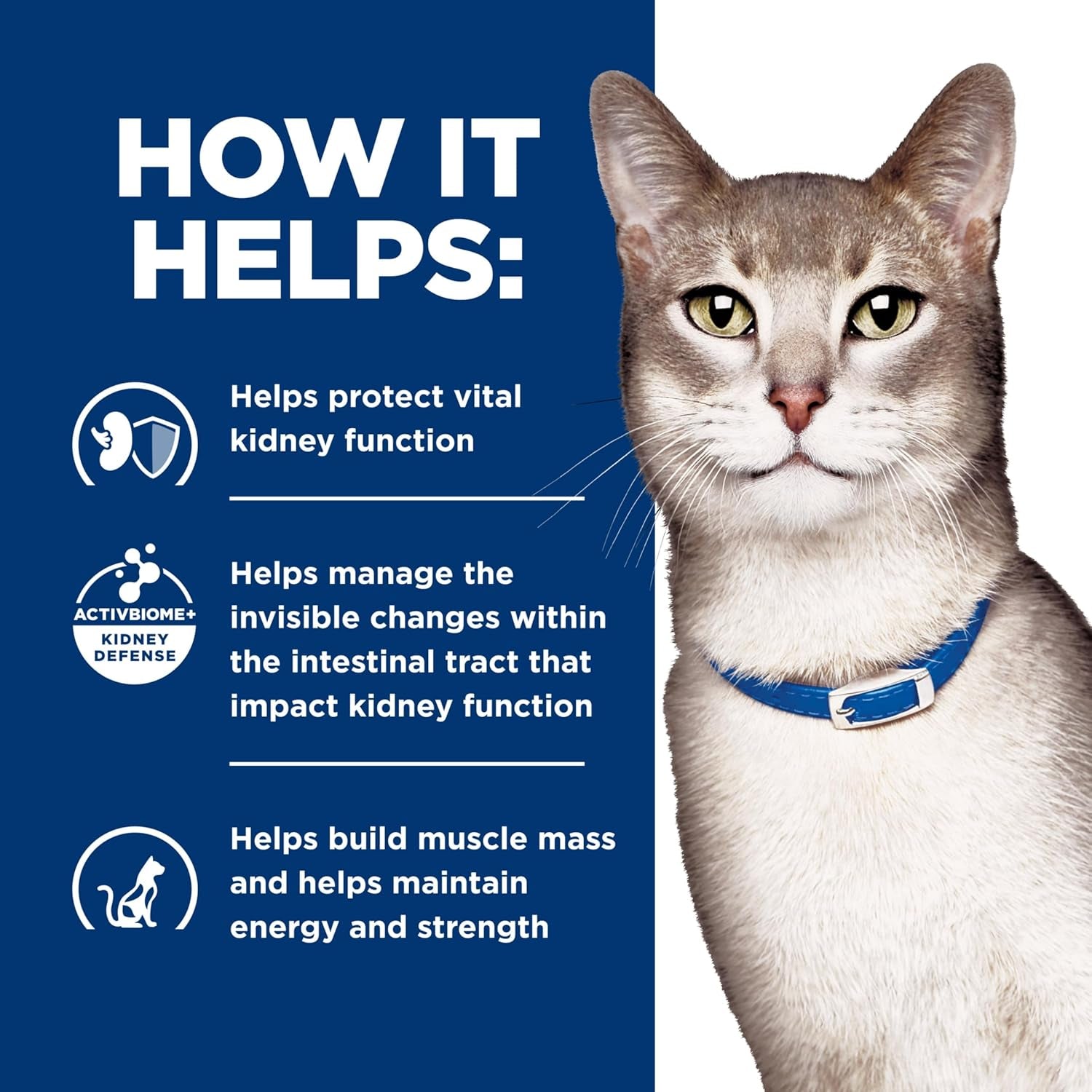 hills-prescription-diet-k-d-kidney-care-dry-cat-food-ocean-fish-4-lb-bag