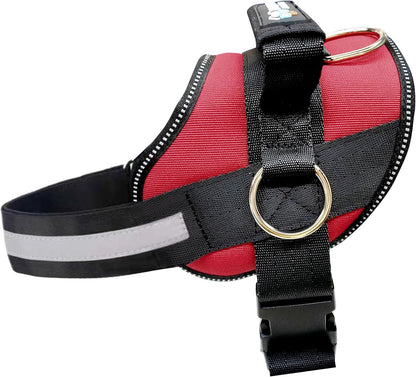 Joyride Basic Dog Harness 1.0 | Blue Serenity | M | Adjustable Pet Vest with 3 Side Leash Rings for Training, Walking and Improved Control for Small, Medium or Large Dogs10