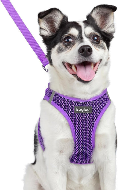 Eagloo Small Dog Harness and Leash Set, Step in Small Sized Puppy Pet Vest | Light, Soft, Breathable Air Mesh, Easy on and off with Hook & Loop, Reflective for Safe Walking, Pink, S58