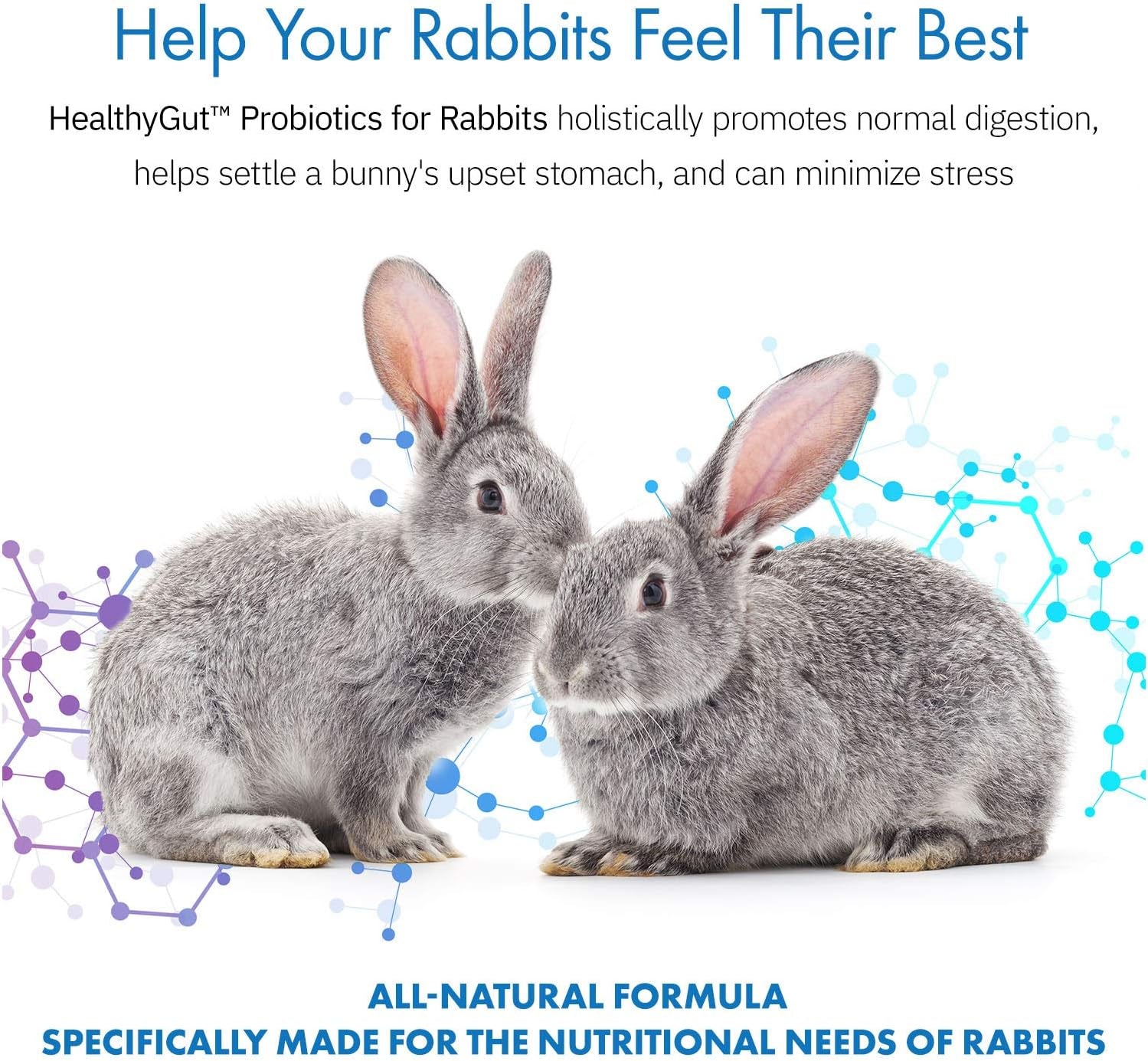 healthygut-probiotics-for-rabbits-dietary-supplement-all-natural-digestive-system-formula-120-servings