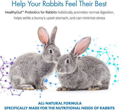 Healthygut Probiotics for Rabbits Dietary Supplement, All-Natural Digestive System Formula (120 Servings)2